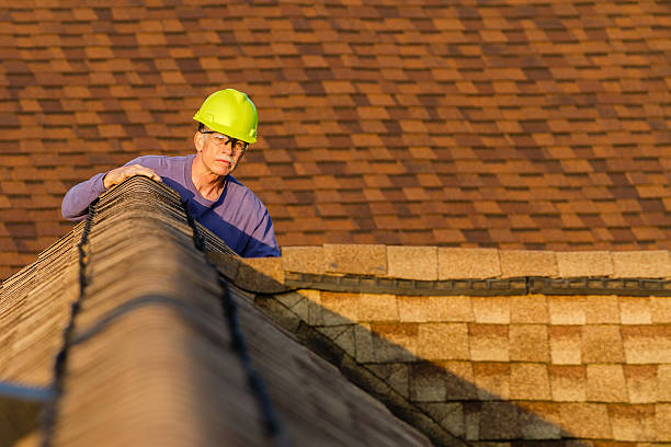 Best Local Roofing Companies  in Stone Ridge, VA