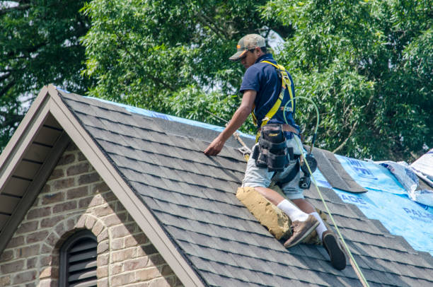 Best Roof Gutter Cleaning  in Stone Ridge, VA